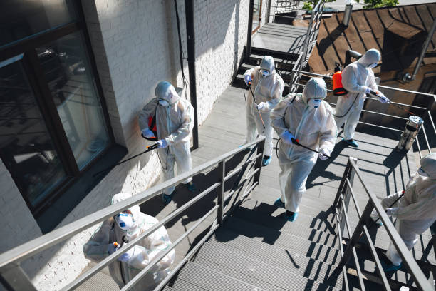Best Mold Prevention Services  in Hoback, WY