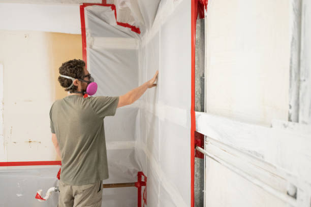 Reliable Hoback, WY Mold Removal Solutions